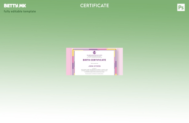 модерен стил Шаблон за извод од матична книга на родените во центарот за извод о